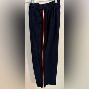 Zara Dark Blue Drawstring Pull-On Pants with Subtle Sheen
